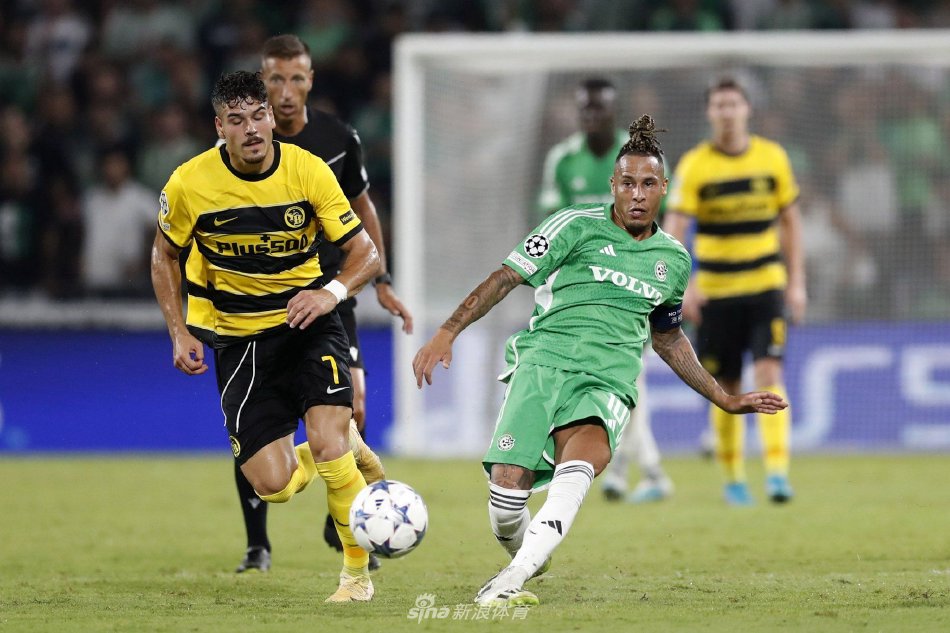 斯卢茨基技 斯卢茨基技